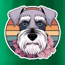 Knírač - fenka a květiny