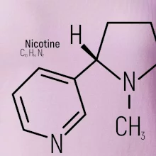 Molekulární struktura Nikotin