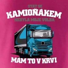 Stát se kamioňákem nebyla moje volba