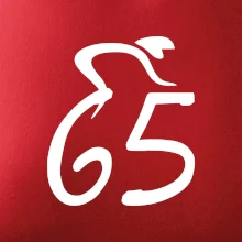 Cyklista slaví pětašedesátku (65)