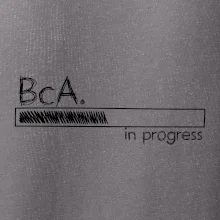 In progress  titul BcA. bakalář / bakalářka umění