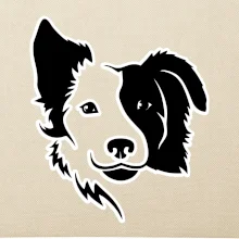 Border kólie obrys hlavy