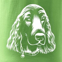 Kokršpaněl - hlava kreslená