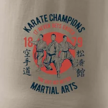 Karate Champions