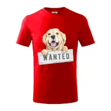 Zlatý retriever - štěně wanted