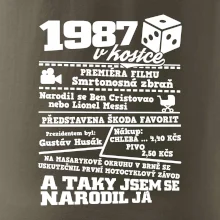 1987 v kostce