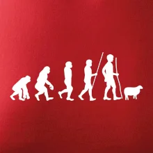 Evoluce pastevec ovcí