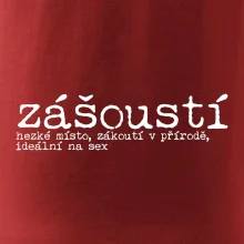 Čeština 2.0 - zášoustí