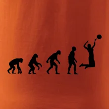 Evoluce volejbal žena Evoluce volejbal žena