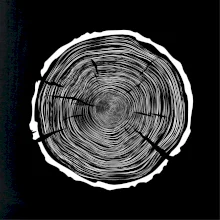 Letokruhy 100 bez věku