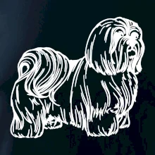 Shih-tzu - chlupatý