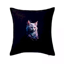 Duhová kočka a hvězdy