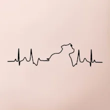 Stafordšírsky bulteriér EKG