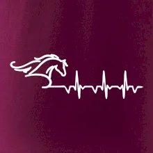 Hlava koně EKG