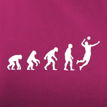 Evoluce volejbal smeč