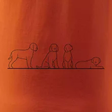 Lagotto romagnolo postavy linka