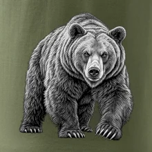zvířata Beskyd - medvěd hnědý