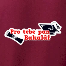 Pro tebe pan Bakalář