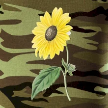 Slunečnice otočená