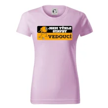 Jsem týhle stavby vedoucí