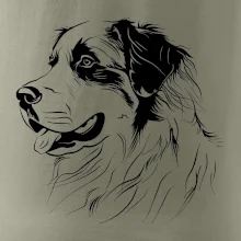 Bernský salašnický pes černá kresba