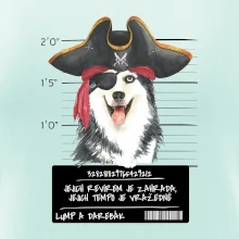 Lump a darebák husky