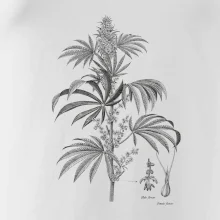 Konopí kytka černobílá