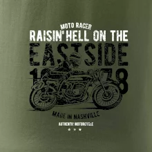 Raisin Hell Moto Racer
