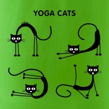 Kočičí jóga (Hana-creative)