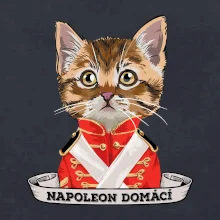 Napoleon domácí kočka Napoleon domácí kočka