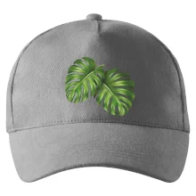 Monstera - dva listy