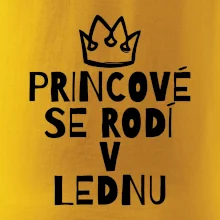 Princové se rodí v lednu
