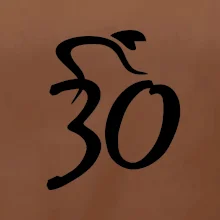 Cyklista slaví třicítku (30)