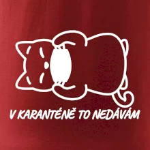 V karanténě to nedávám