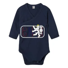 Lev na hrací ploše