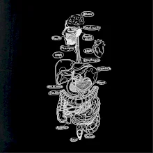 Skica lidských orgánů