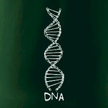 Cyklistovo DNA