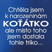 Chtěla jsem dostat k narozeninám koťátko