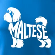 Maltézský psík nápis v těle