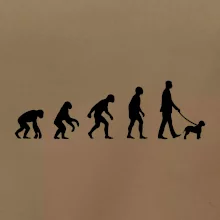 Lagotto romagnolo Evoluce muž / žena