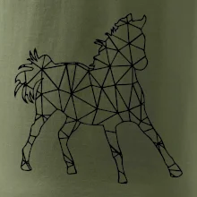 Geometrie - kůň Geometrie - kůň