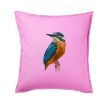 Lednáček kreslený