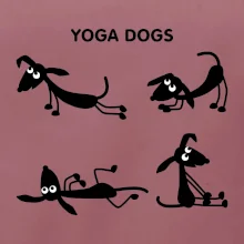 Psí yoga (Hana-creative)