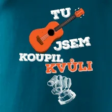 Tu kytaru jsem koupil kvůli tobě