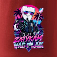 Zatýkám váš plak