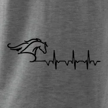 Hlava koně EKG