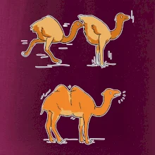 Pravda o velbloudech