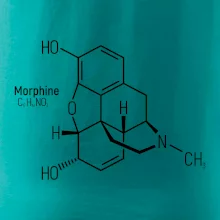 Molekulární struktura Morfin