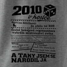 2010 v kostce