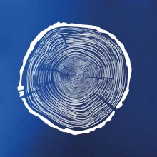 Letokruhy 75 bez věku